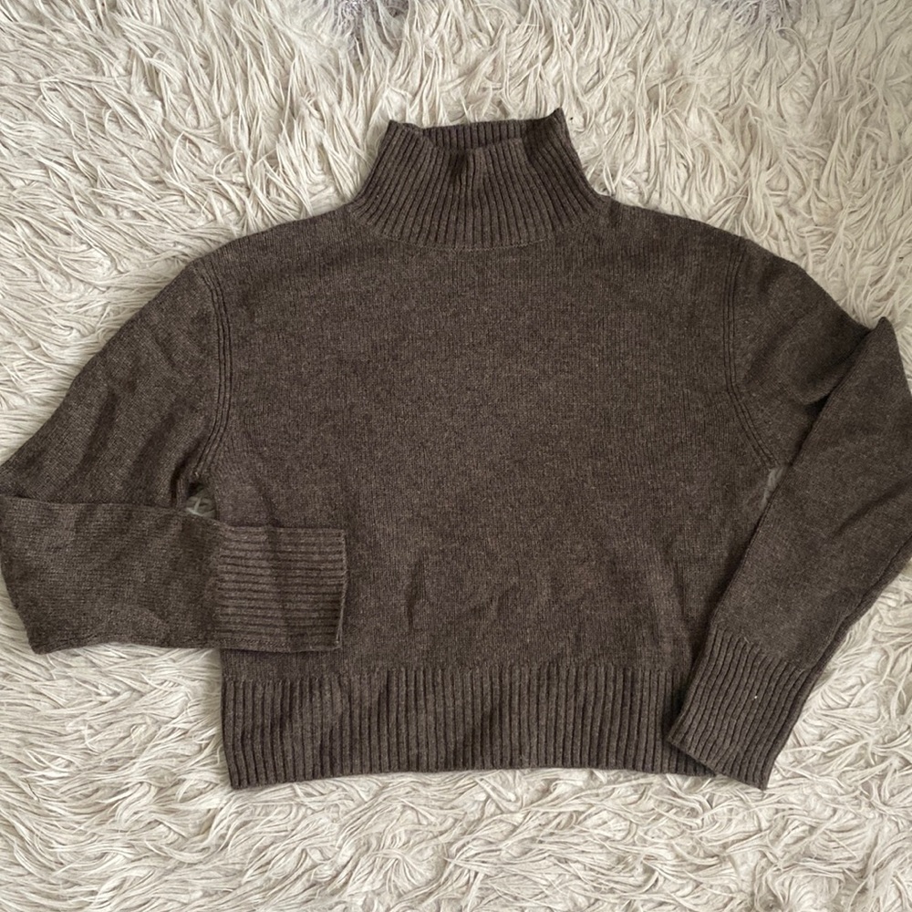 Naked Cashmere turtleneck